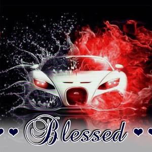 Meet your Posher, Nikolas